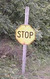 Stop sign_tiny